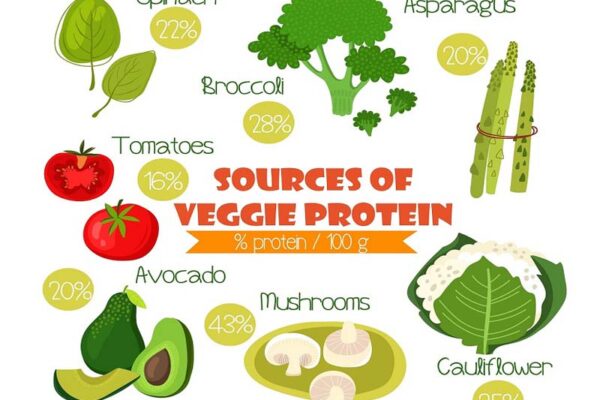 WellHealthOrganic.com Vegetarian Protein Sources