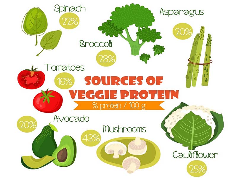 WellHealthOrganic.com Vegetarian Protein Sources