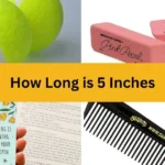 How Long is Five Inches