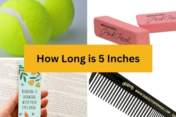 How Long is Five Inches