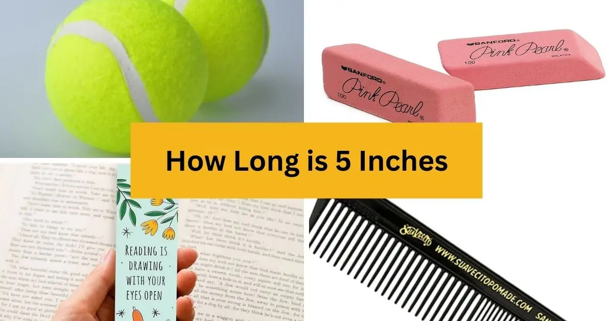 How Long is Five Inches